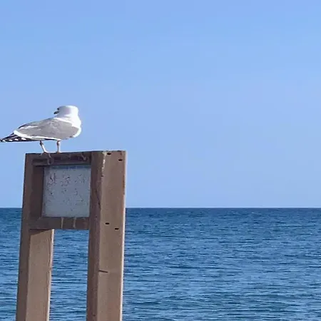 Welooveyou Aqua * La Lajita