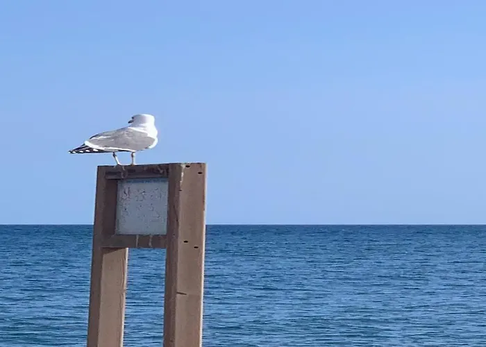 Welooveyou Aqua * Lajita